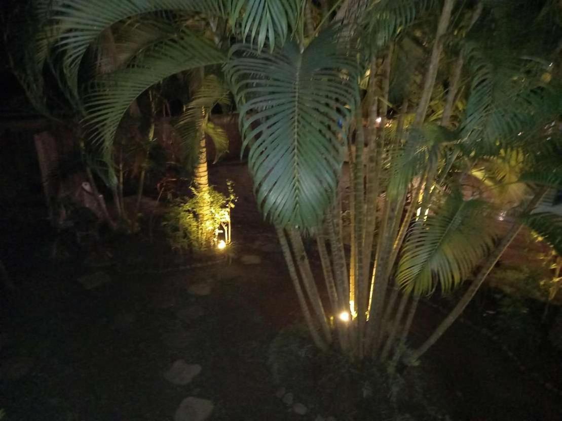 Oasis Palms Hotel 楠迪 外观 照片